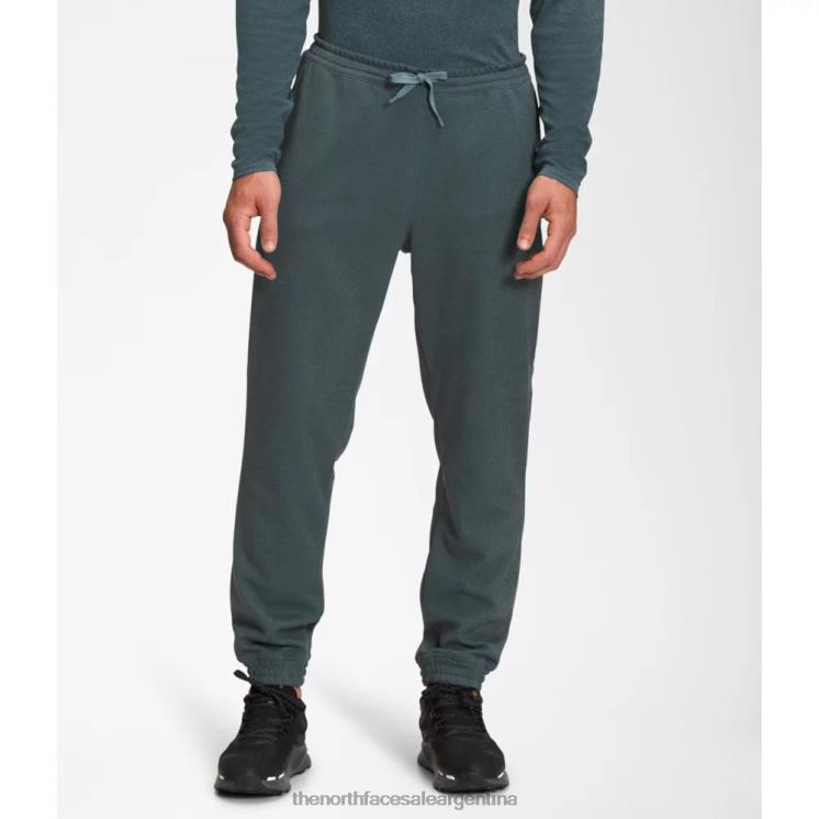 FFV046186 brezo azul The North Face joggers de peso medio de pino grande para hombre