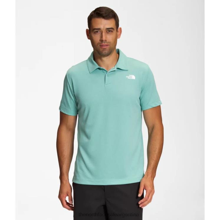 FFV044735 lavabo azul The North Face los hombres deambulan por el polo