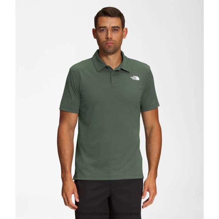 FFV044738 tomillo The North Face los hombres deambulan por el polo