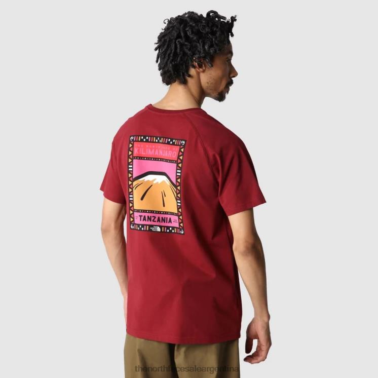 FFV042378 cordobés The North Face camiseta de caras norte hombre