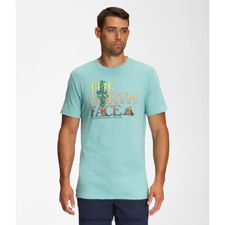 FFV045448 wasabi The North Face camiseta de manga corta con inyección gráfica para hombre