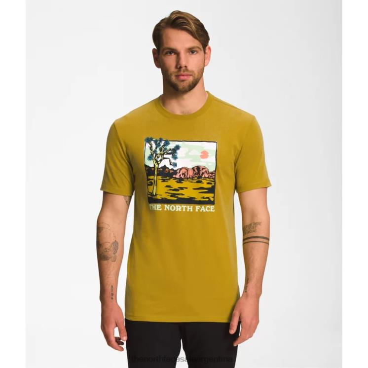 FFV045450 oro mineral The North Face camiseta de manga corta con inyección gráfica para hombre