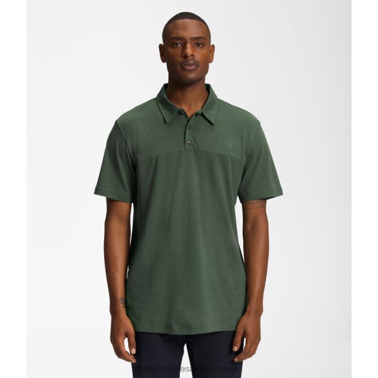 FFV046227 tomillo The North Face polo terreno hombre