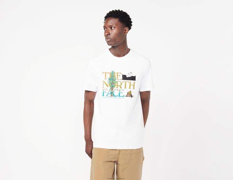 FFV046711 blanco The North Face camiseta gráfica