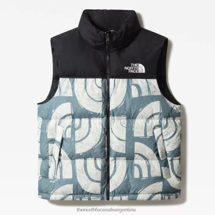 FFV041260 bloque de madera azul The North Face chaleco de plumas con estampado 1996 retro nuptse para hombre