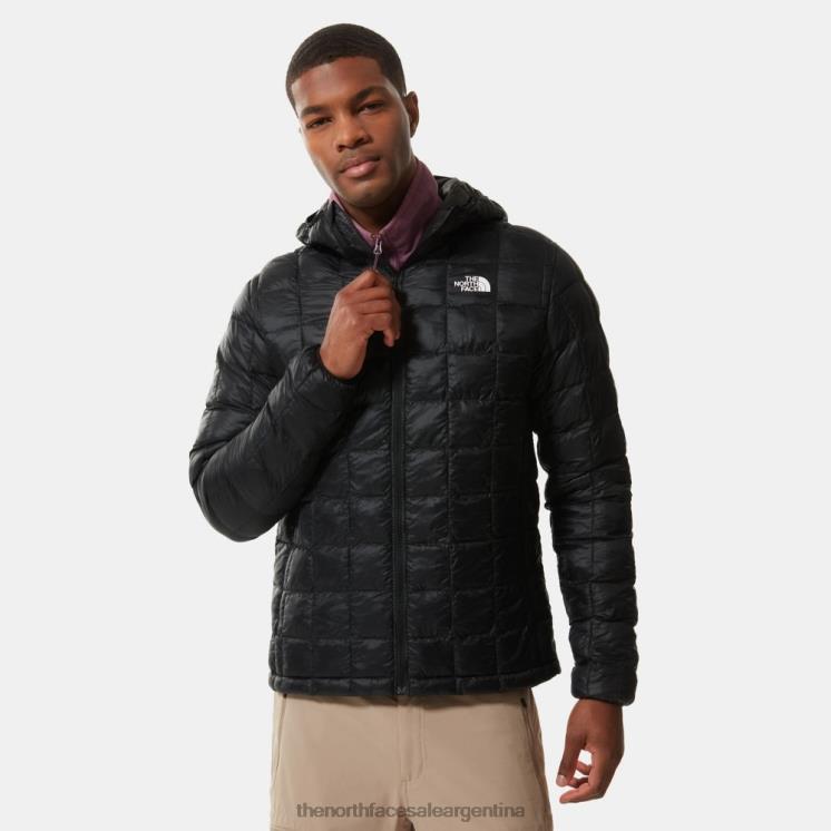 FFV041091 negro The North Face chaqueta con capucha termoball eco hombre