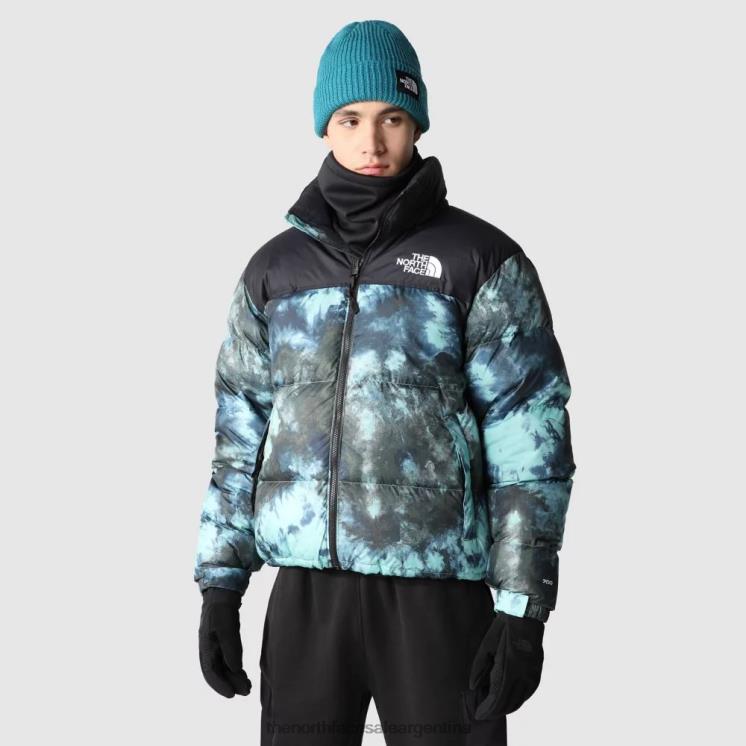 FFV041259 hielo de wasabi The North Face chaqueta de plumas retro nuptse con estampado 1996 para hombre