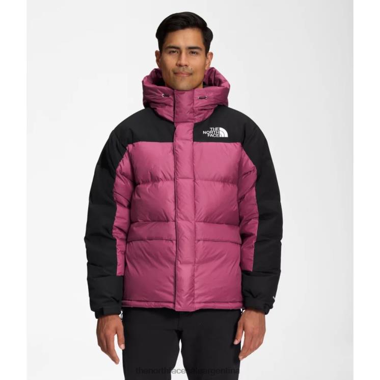 FFV043528 rojo violáceo The North Face parka de plumas hmlyn para hombre