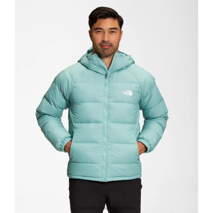 FFV044166 wasabi The North Face sudadera con capucha de plumón de hidrenalita para hombre