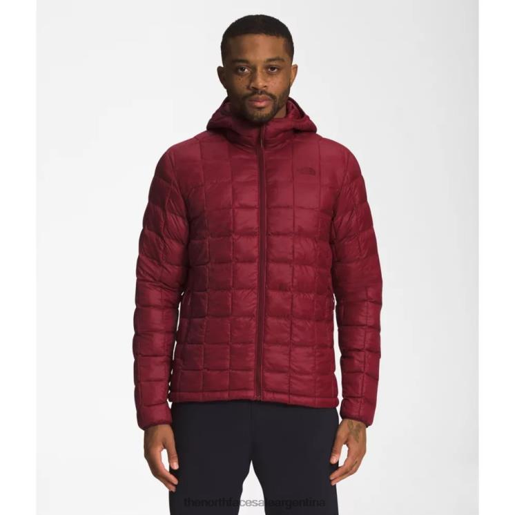 FFV044218 cordobés The North Face sudadera con capucha thermoball eco 2.0 para hombre