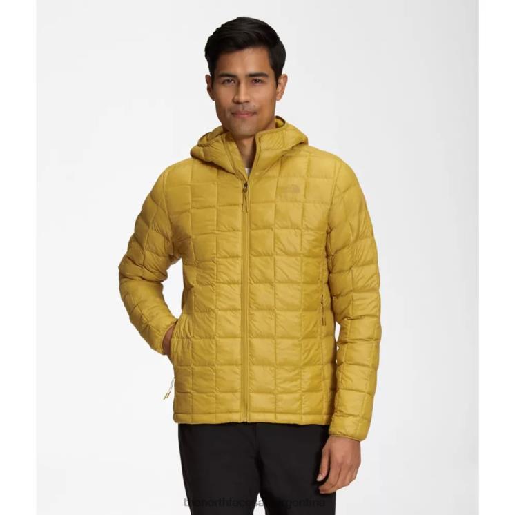 FFV044219 oro mineral The North Face sudadera con capucha thermoball eco 2.0 para hombre