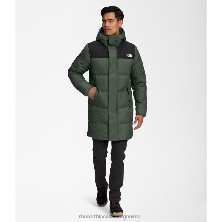 FFV045583 tomillo The North Face hombres hidrenalita abajo medio