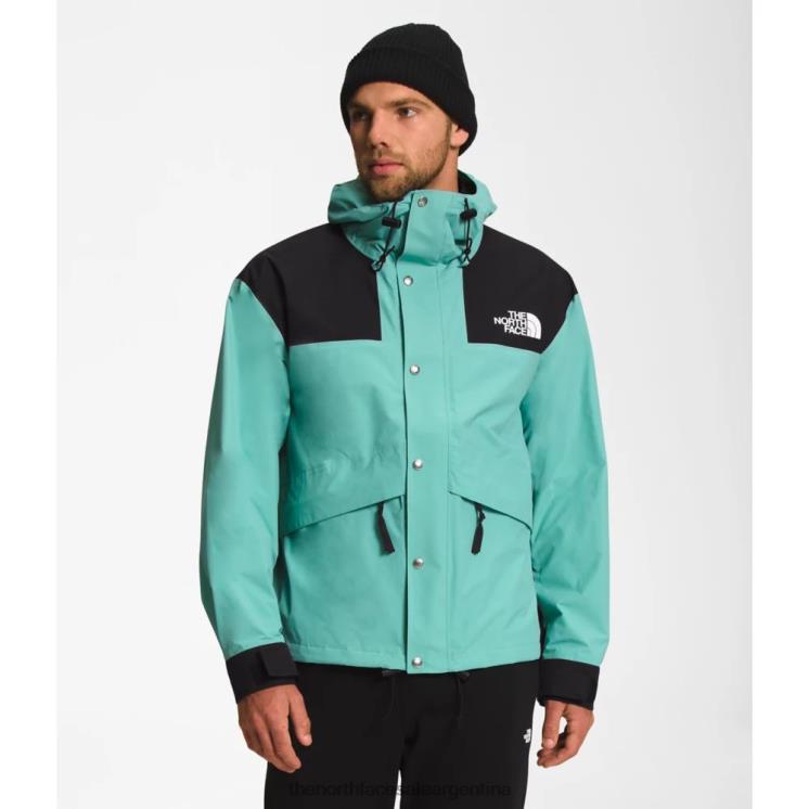 FFV045611 wasabi The North Face chaqueta de montaña retro hombre 86