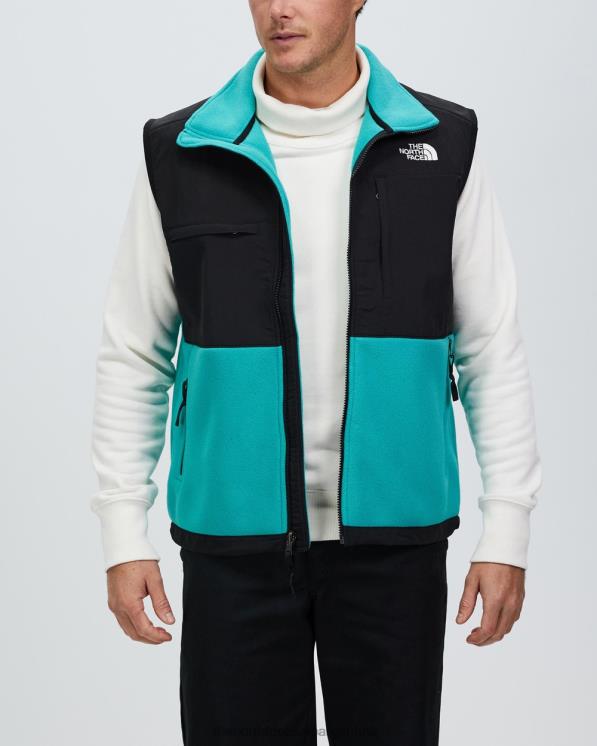 FFV047222 verde porcelana The North Face chaleco denali 2