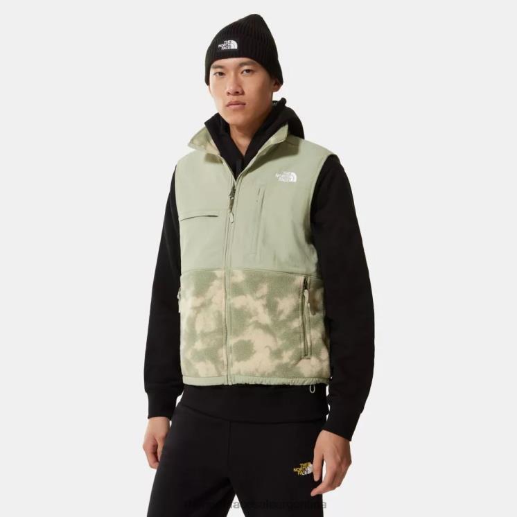 FFV041453 grava retro The North Face chaleco denali estampado para hombre