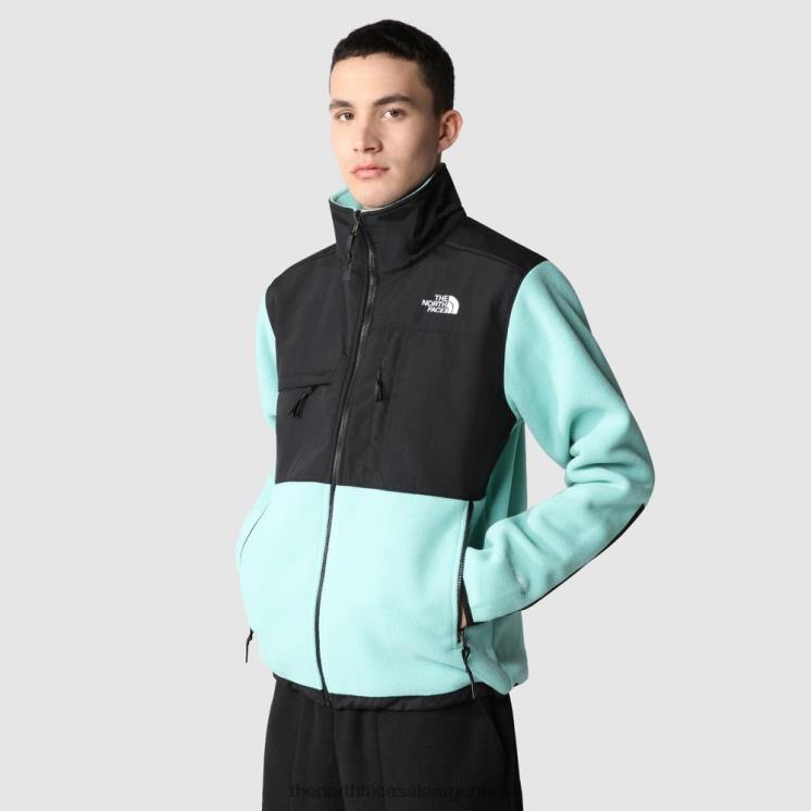 FFV041678 wasabi The North Face chaqueta denali de los hombres