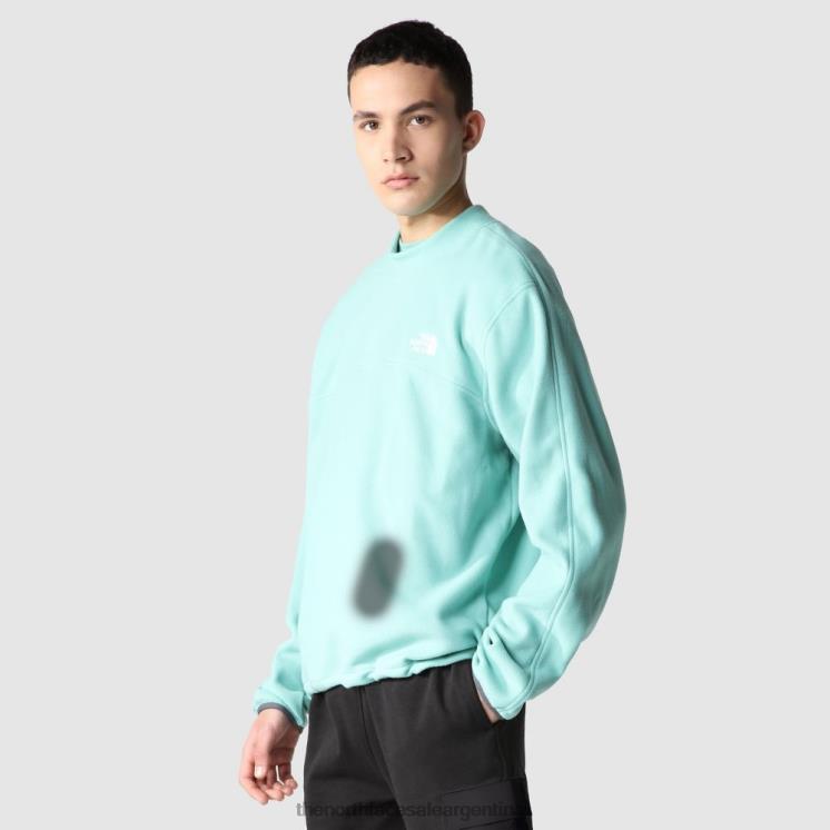 FFV041695 wasabi The North Face suéter de cuello alto para hombre 2000 tka