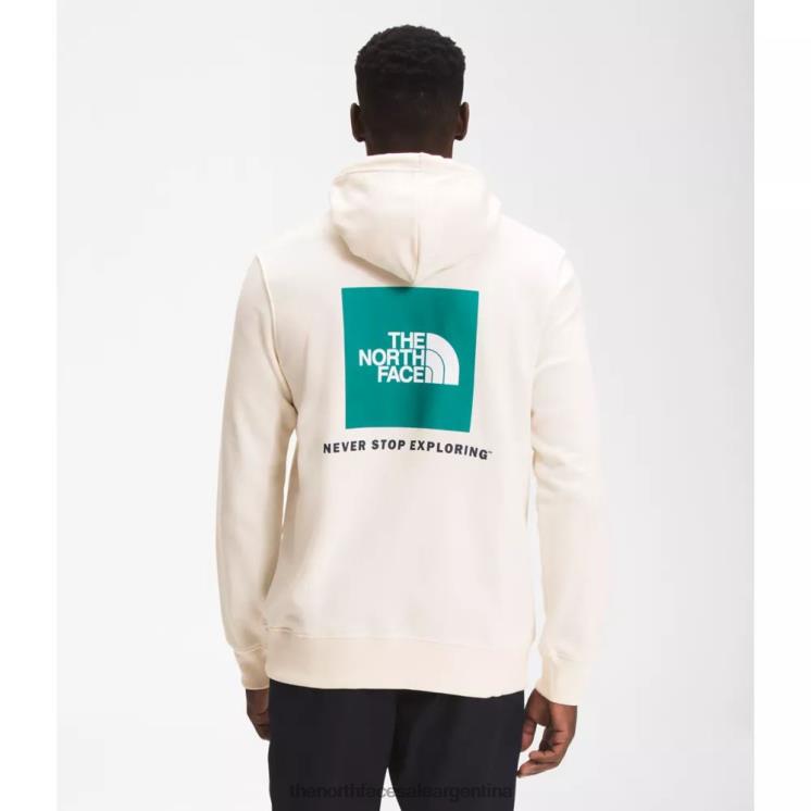 FFV043357 blanco The North Face sudadera con capucha box nse para hombre
