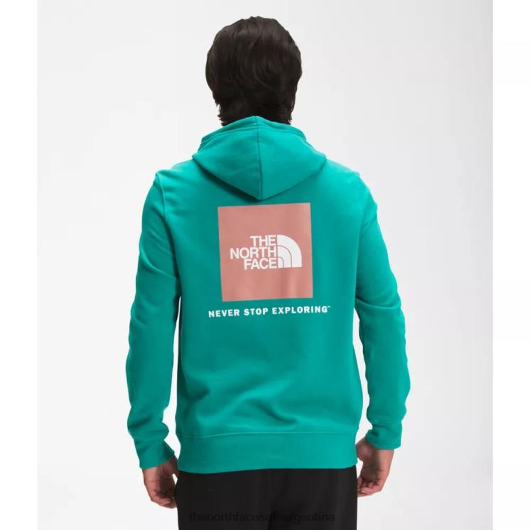 FFV043360 verde porcelana The North Face sudadera con capucha box nse para hombre