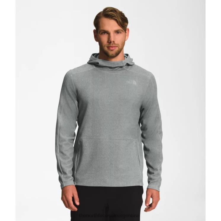 FFV044396 gris The North Face sudadera con capucha de peso medio de pino grande para hombre