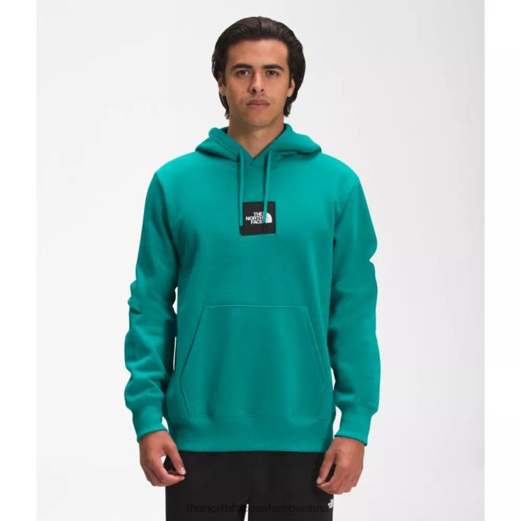 FFV044756 verde porcelana The North Face sudadera con capucha de peso pesado para hombre