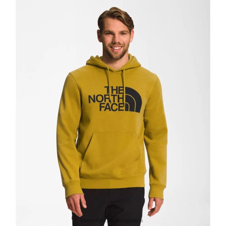 FFV045368 oro mineral The North Face sudadera con capucha de media cúpula para hombre