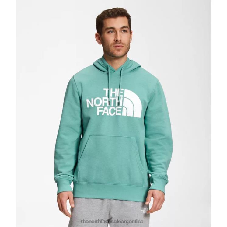 FFV045370 wasabi The North Face sudadera con capucha de media cúpula para hombre