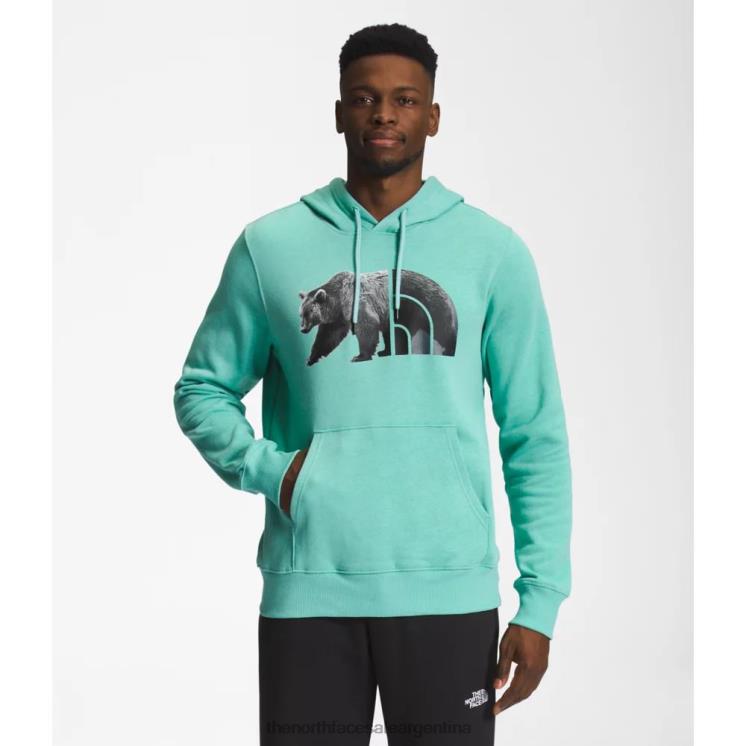 FFV045378 wasabi The North Face sudadera con capucha tnf oso para hombre