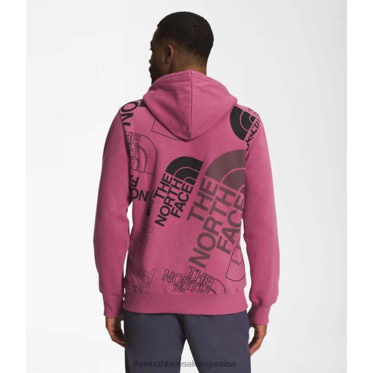 FFV045418 rojo violáceo The North Face sudadera con capucha con estampado gráfico para hombre