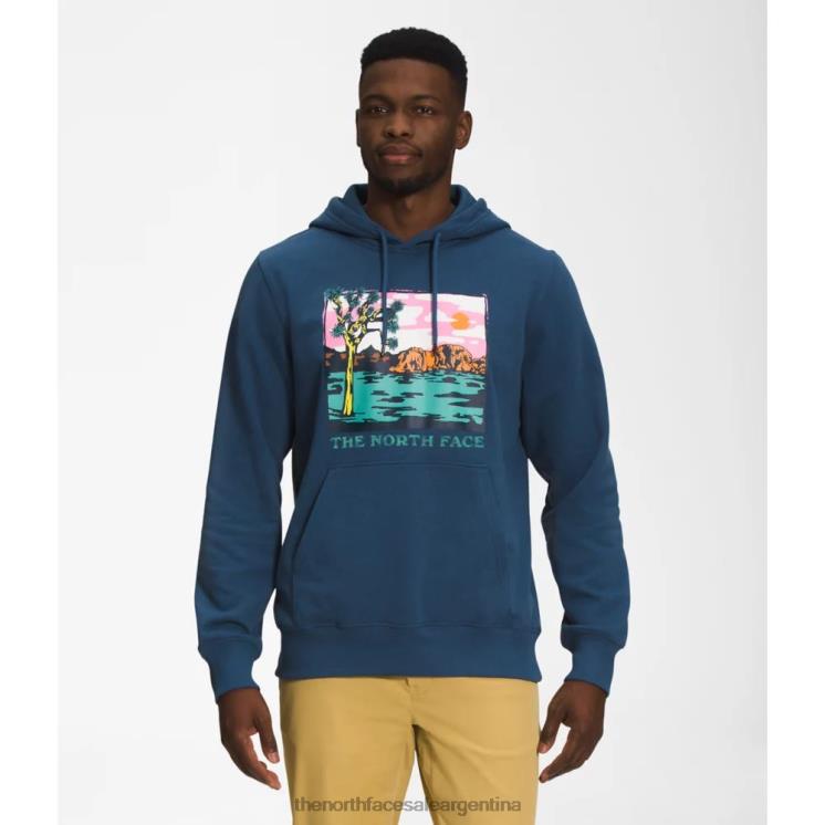 FFV045419 azul sombreado The North Face sudadera con capucha con estampado gráfico para hombre