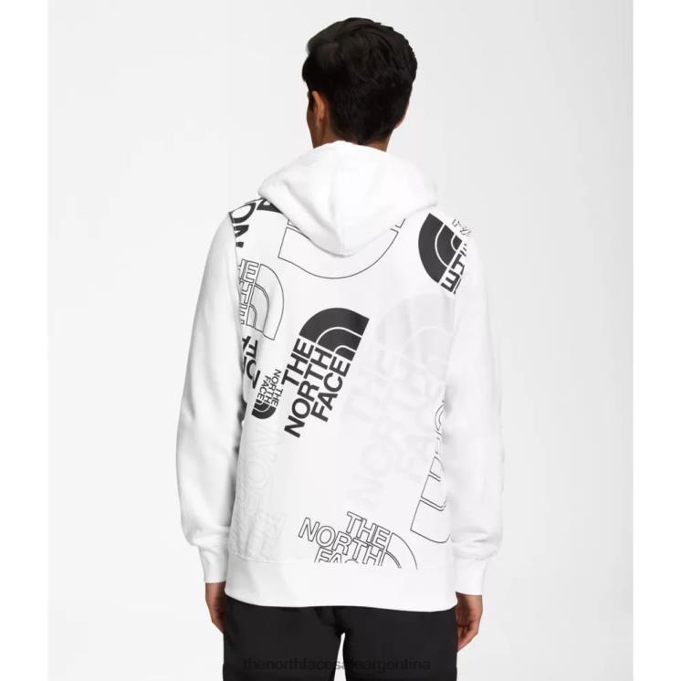 FFV045422 blanco The North Face sudadera con capucha con estampado gráfico para hombre