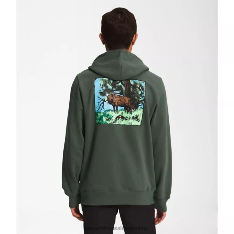 FFV045423 tomillo The North Face sudadera con capucha con estampado gráfico para hombre