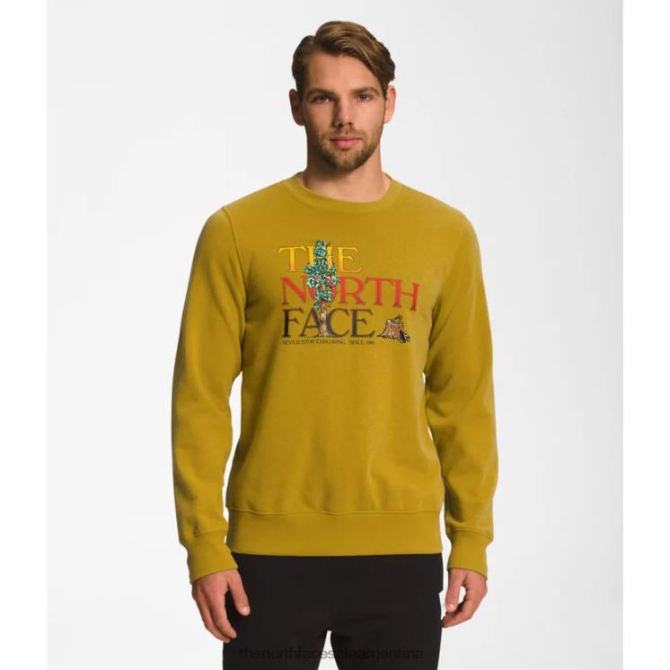 FFV045425 oro mineral The North Face equipo de inyección gráfica de hombres