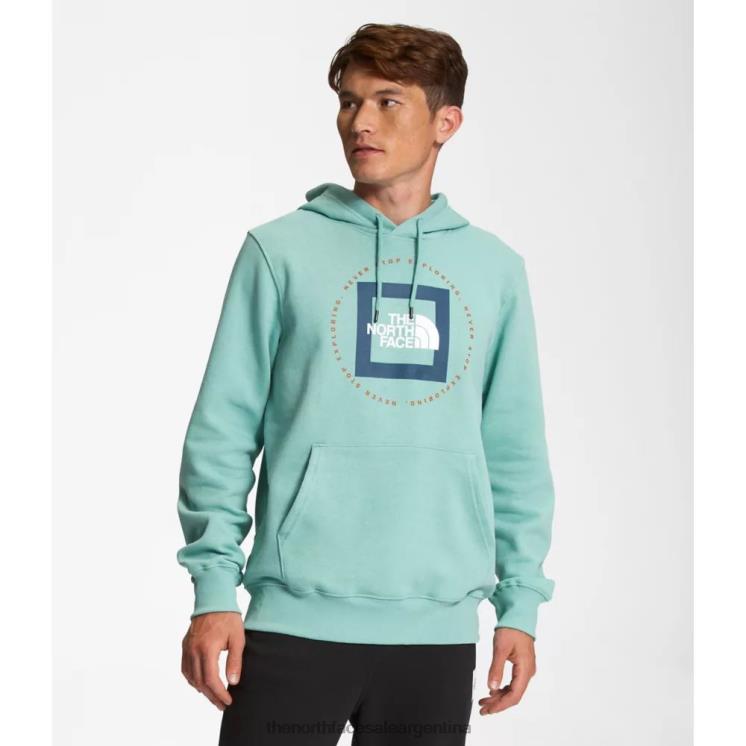 FFV045432 wasabi The North Face sudadera con capucha geo nse para hombre