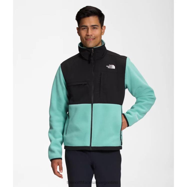 FFV045590 wasabi The North Face chaqueta denali para hombre nueva