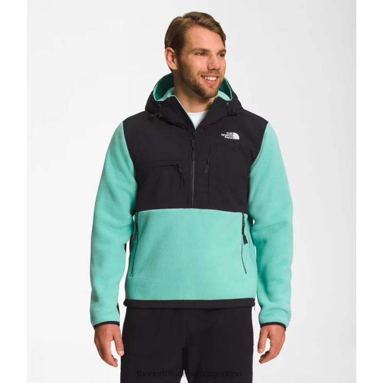 FFV045593 wasabi The North Face anorak hombre denali