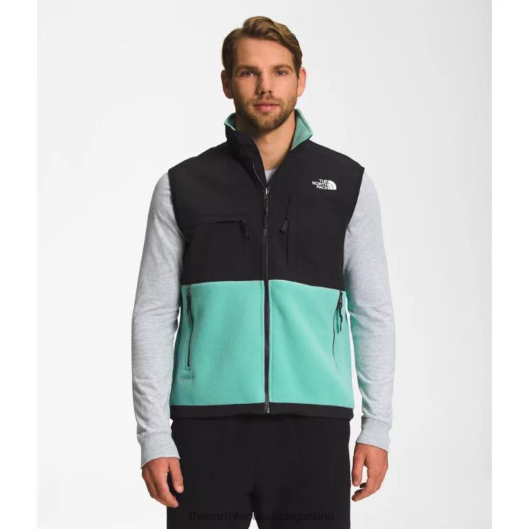 FFV045595 wasabi The North Face chaleco denali para hombre
