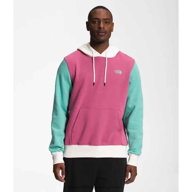 FFV046075 wasabi The North Face sudadera con capucha y bloques de color para hombre