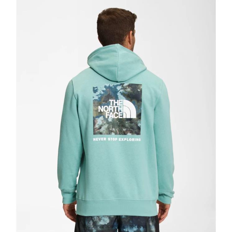 FFV046245 wasabi The North Face sudadera con capucha con estampado de caja nse para hombre