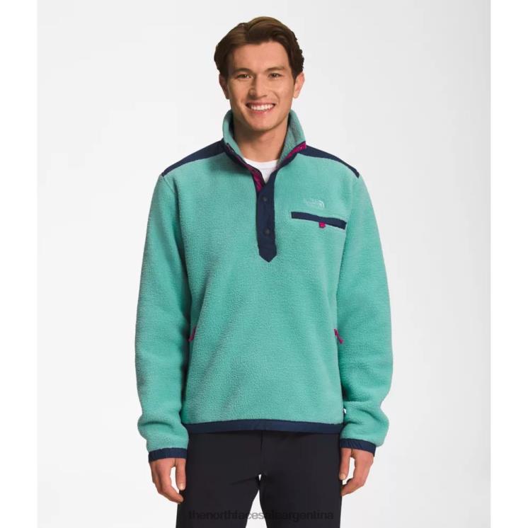 FFV046262 wasabi The North Face hombres arco real chasquido