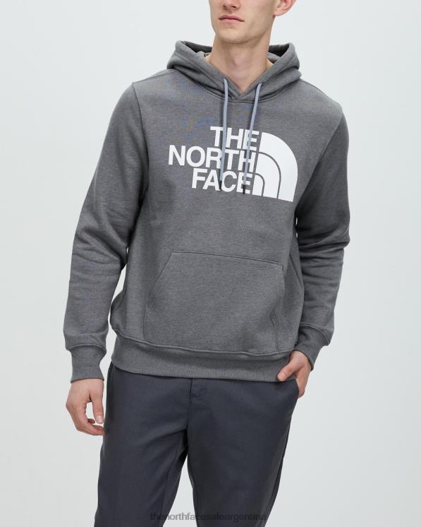 FFV046943 gris The North Face sudadera con capucha y media cúpula