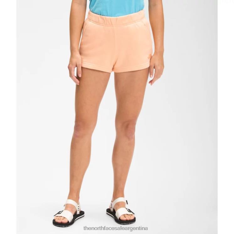 FFV043802 hielo de albaricoque The North Face pantalones cortos con logo de media cúpula para mujer 3