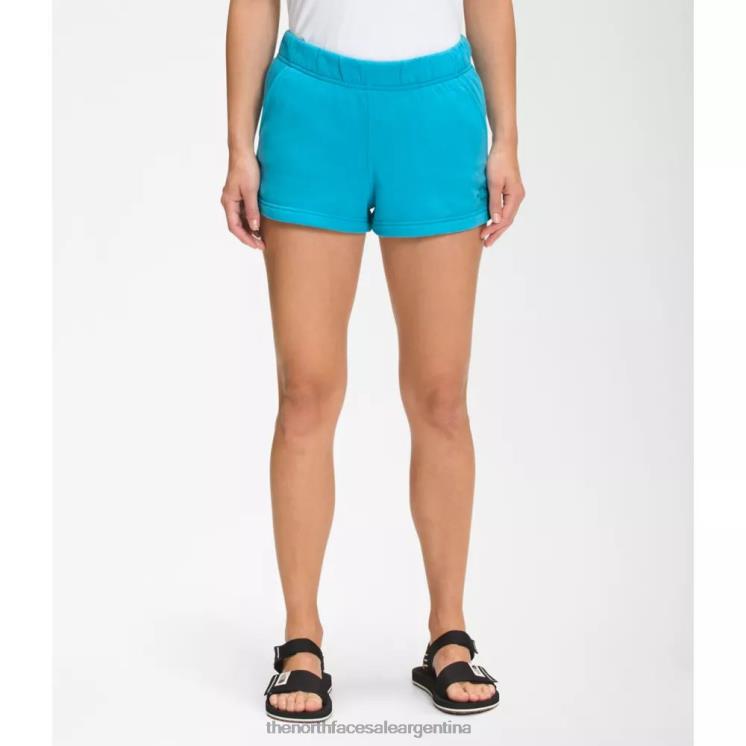 FFV043803 azul nórdico The North Face pantalones cortos con logo de media cúpula para mujer 3