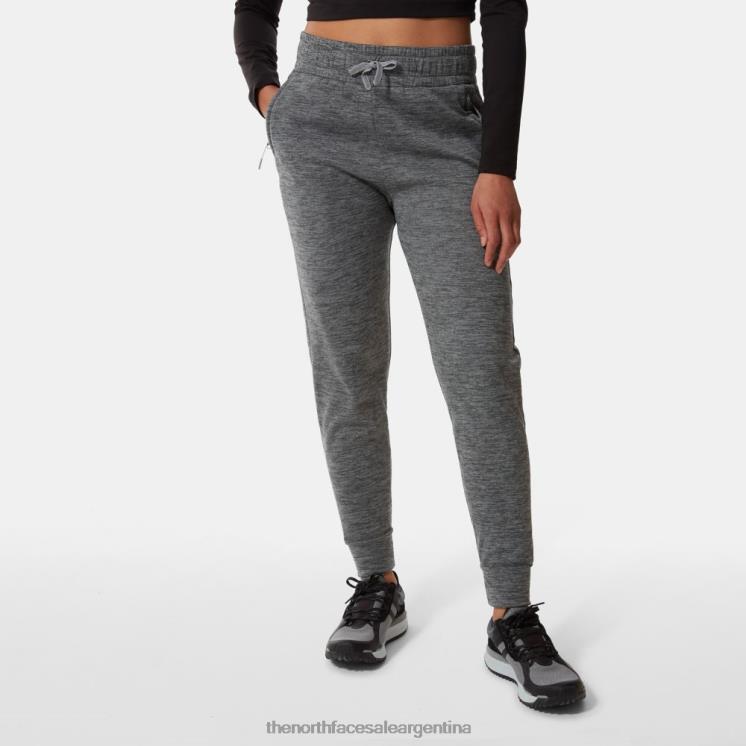 FFV041056 gris The North Face joggers mujer canyonlands