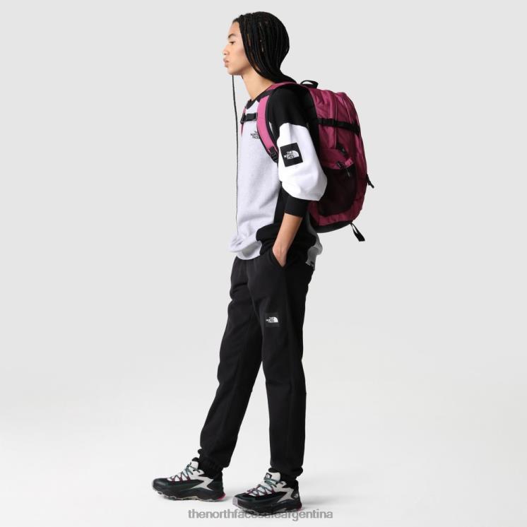 FFV041958 negro The North Face pantalones finos de mujer