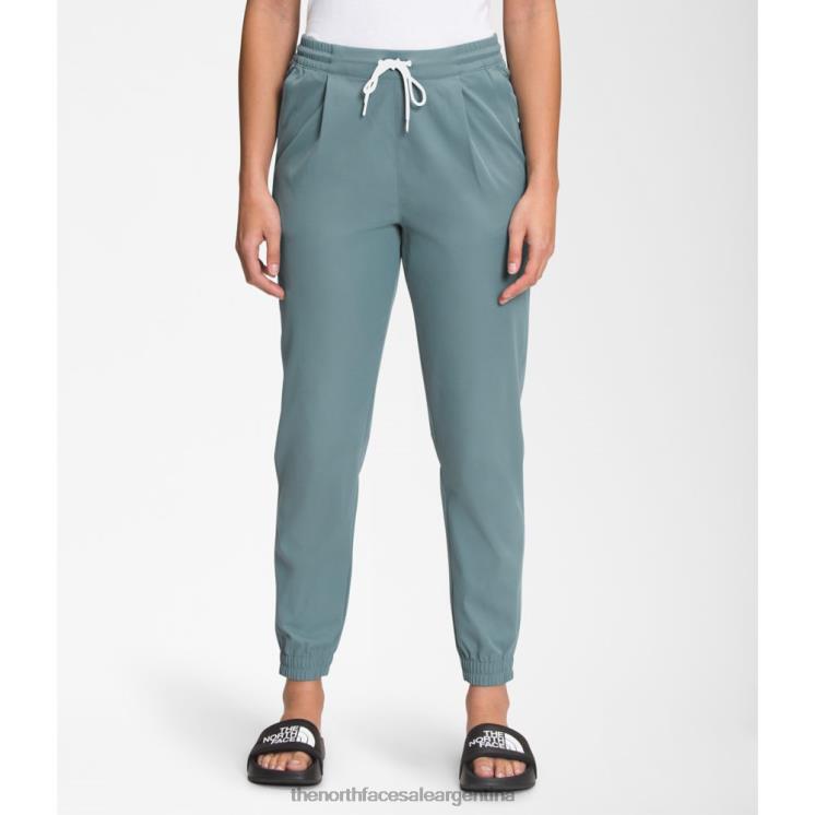 FFV044378 azul The North Face joggers estándar para mujer