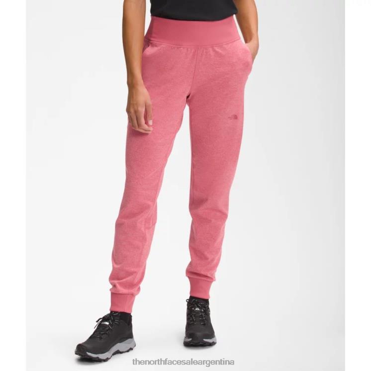 FFV045034 rosa pizarra The North Face joggers mujer dune sky