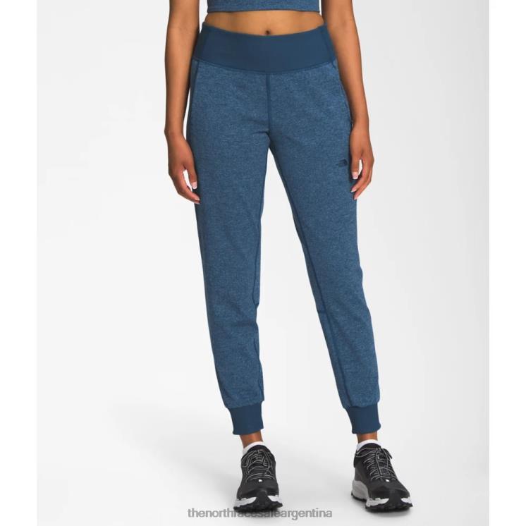 FFV045038 azul sombreado The North Face joggers mujer dune sky