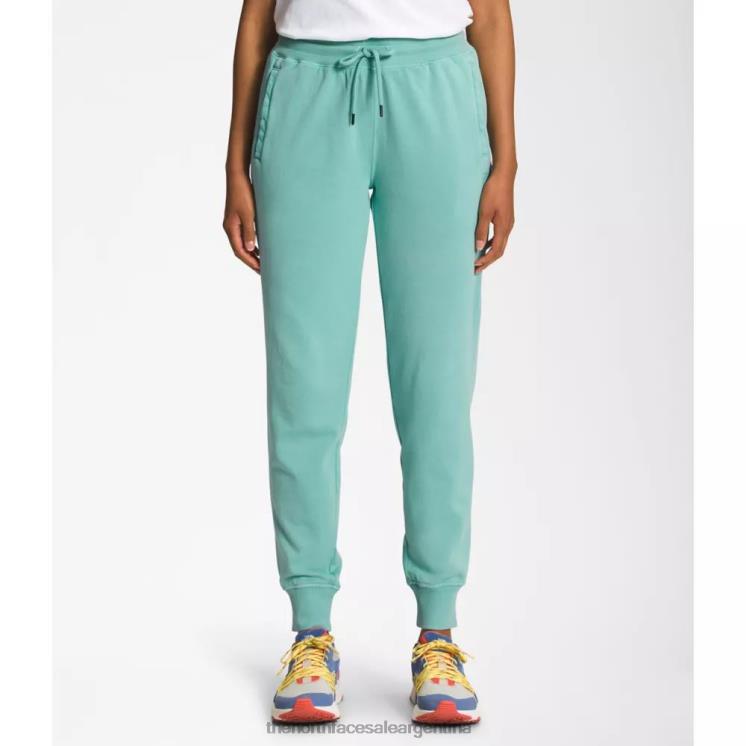 FFV045495 wasabi The North Face joggers teñidos en prenda para mujer