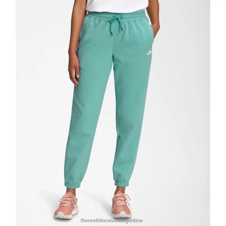 FFV045521 wasabi The North Face pantalones deportivos de lana de media cúpula para mujer